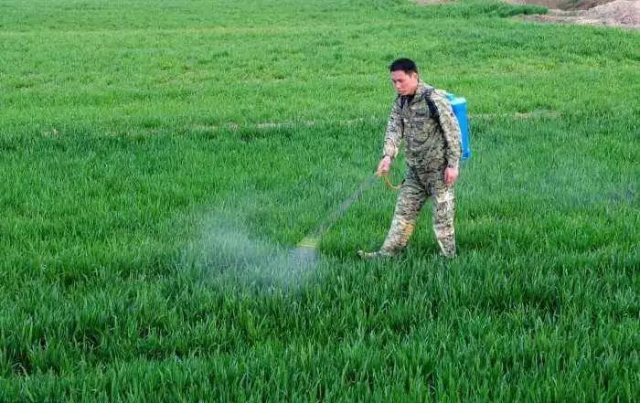 除草劑消泡劑應用場景圖
