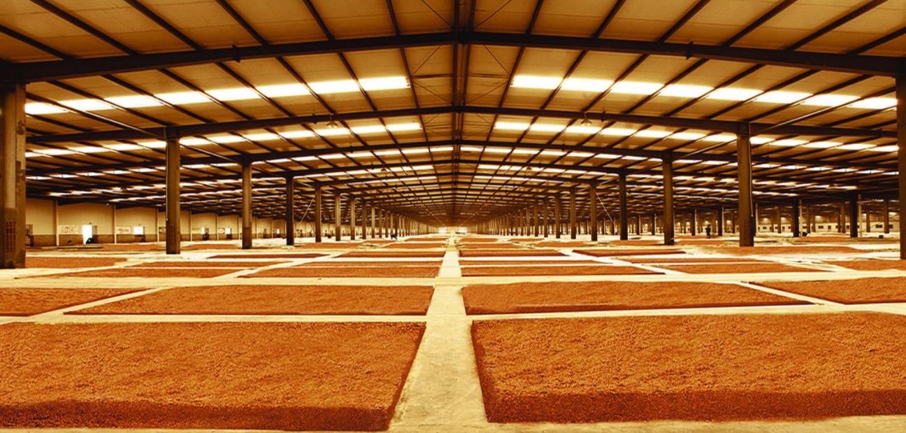 發酵食品消泡劑應用場景圖