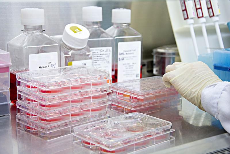 細胞培養消泡劑應用場景圖