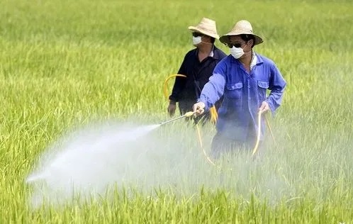 農藥消泡粉應用場景圖