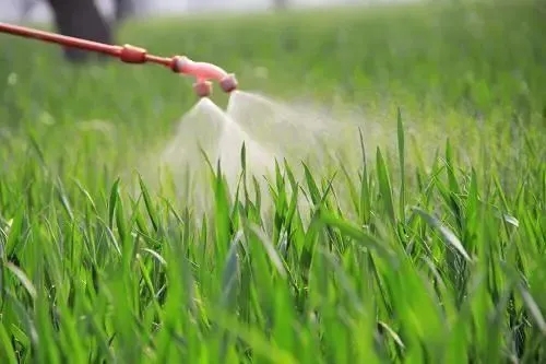 葉麵肥消泡劑應用場景圖