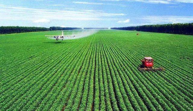 葉麵肥泡沫多怎麼辦？可以使用葉麵肥消泡劑