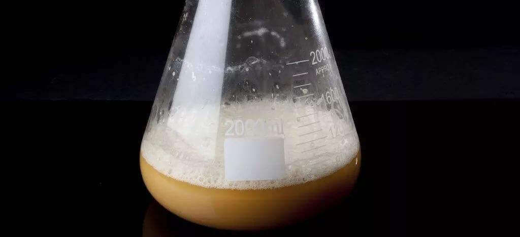 酵母發酵起泡是怎麼回事，怎麼處理這些泡沫？