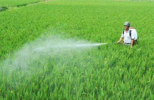 農藥乳化劑用農藥乳化劑起泡原因分析，泡沫過多怎麼解決？泡劑