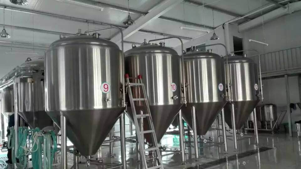 真菌發酵起泡原因有哪些？怎麼解決泡沫問題？