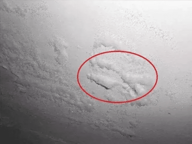 塗料消泡劑應用場景